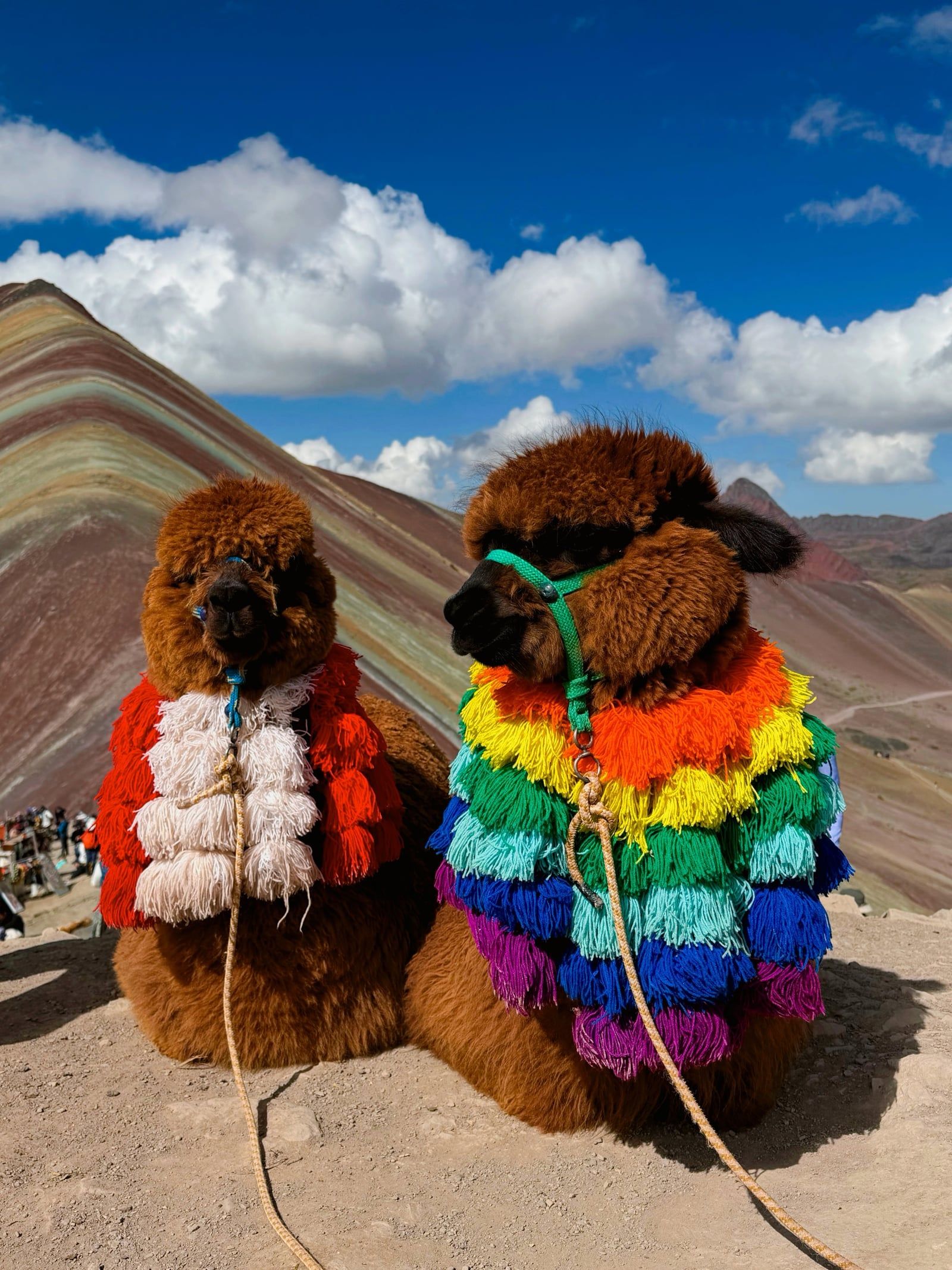 Vy över Vinicunca Rainbow Mountain